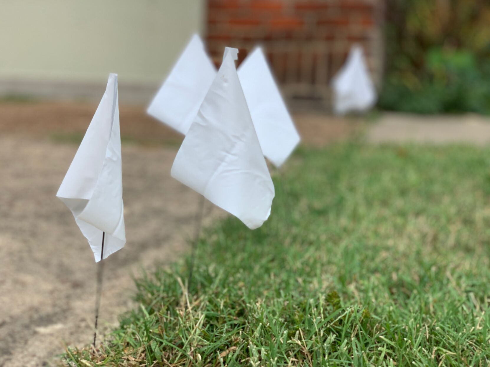 white flags 2.jpg